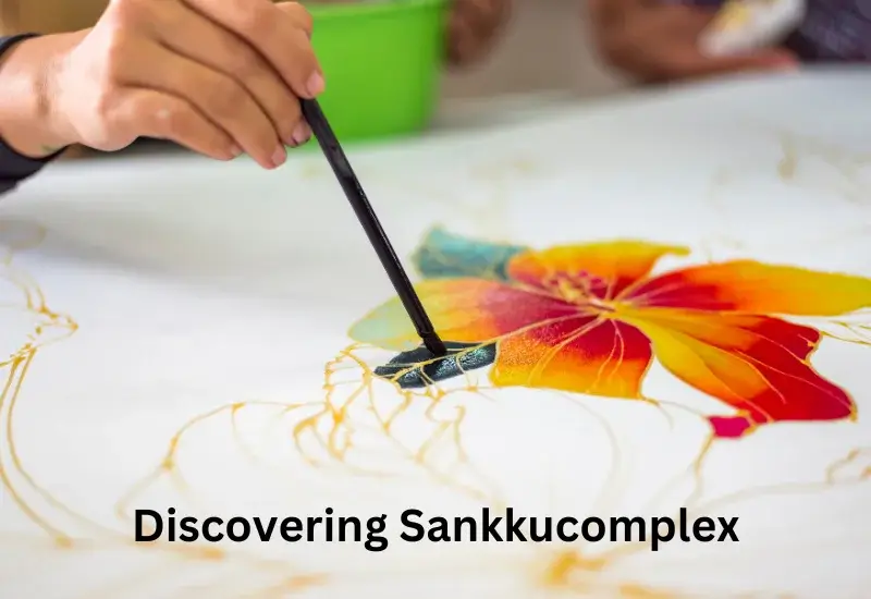 Sankkucomplex